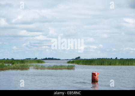 Il lago in Firesland, Paesi Bassi con acqua, verde prato e cielo blu con nuvole bianche Foto Stock