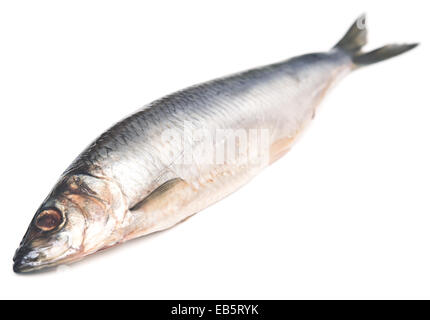 Le aringhe salate pesce isolato su sfondo bianco (focus sull'occhio) Foto Stock
