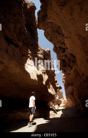 Escursionista in Sesriem Canyon - Sossusvlei National Park - Namib-Naukluft National Park, Namibia, Africa Foto Stock