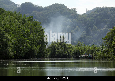 Fumo nel Carso Kelim Geoforest Park a Langkawi, Malesia. Foto Stock