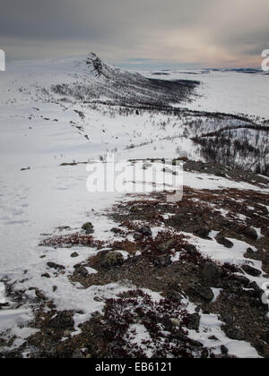 In inverno il paesaggio di montagna, gausdal, Oppland Norvegia Foto Stock