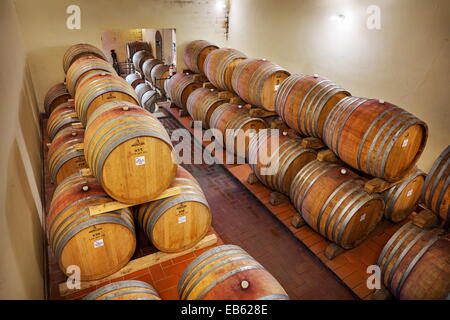 La cantina di Brunello di Montalcino, botti da vino, Toscana, Italia Foto Stock