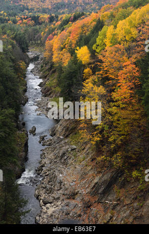 Luminose caduta delle foglie sul fiume Ottauquechee presso la profonda forra Quechee Vermont Foto Stock