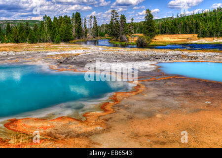 Suggestivi paesaggi dell'attività geotermica del Parco Nazionale di Yellowstone USA - Bacino del biscotto Foto Stock