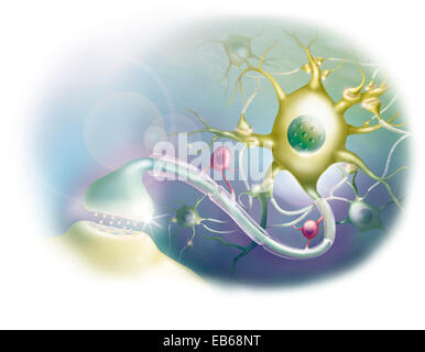 Illustrazione SYNAPSE Foto Stock