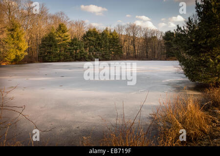 Inverno LAGO DI SCENA REDDING Connecticut USA Foto Stock