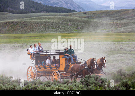 I turisti di marcia in una vecchia moda western stagecoach da Roosevelt Lodge presso il Parco Nazionale di Yellowstone Luglio 3, 2014 in Wyoming. Foto Stock