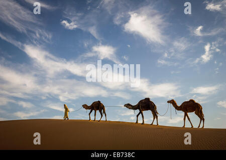 Dune di sabbia del deserto del Sahara ERG CHIGAGA MAROCCO Foto Stock