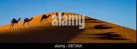 CARAVAN DESERTO DEL SAHARA ERG CHEBBI MERZOUGA MAROCCO Foto Stock