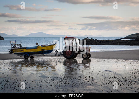 Trattore tirando una barca da pesca dal mare e di fronte spiaggia Rhoscolyn alla fine della giornata Foto Stock