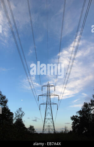 Tralicci elettrici al crepuscolo Sandy Bedfordshire England Regno Unito Foto Stock