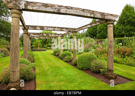 Siepi topiari e tasso a Wilkins Pleck giardino, Whitmore, Newcastle sotto Lyme, Stoke on Trent, Staffordshire, Inghilterra, Regno Unito Foto Stock