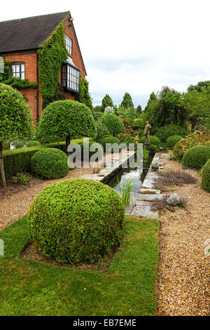 Siepi topiari e tasso a Wilkins Pleck giardino, Whitmore, Newcastle sotto Lyme, Stoke on Trent, Staffordshire, Inghilterra, Regno Unito Foto Stock