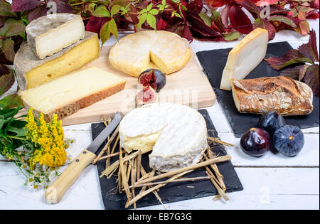 Camembert di Normandia con diversi formaggi francesi Foto Stock