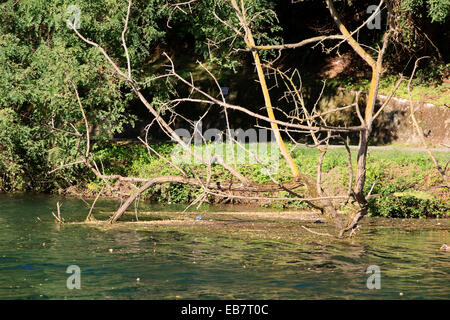 Il marmo ' ' strada antica per via navigabile, fiume Ticino, Lombardia, Piemonte, Italia. Foto Stock