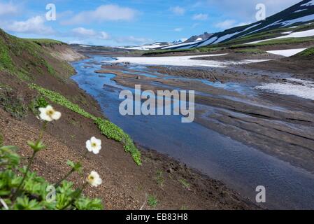 Penisola di Kamchatka - vulcano Mutnovsky - - base camp - Agosto 2014 Foto Stock