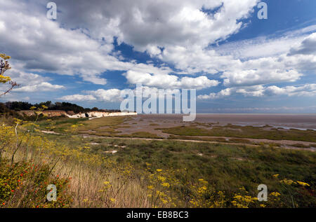 Ampio angolo di visione di Pegwell Bay Riserva Naturale, Kent Foto Stock