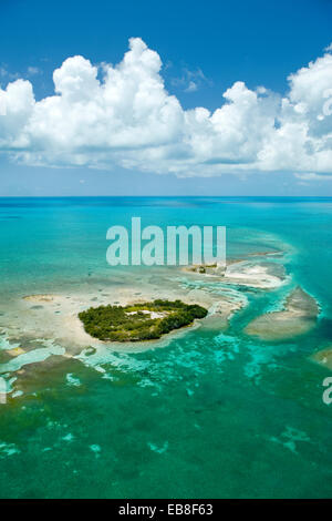 Tasti di piccole dimensioni nei pressi di Seven Mile BRIDGE contea di Monroe Florida USA Foto Stock