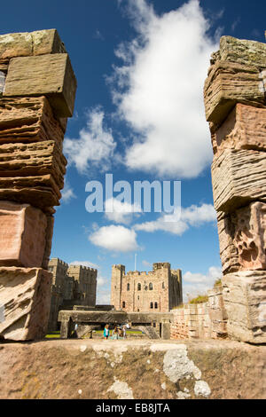 In arenaria a spiovente sulle pareti del castello di Bamburgh in Northumberland, Regno Unito. Foto Stock