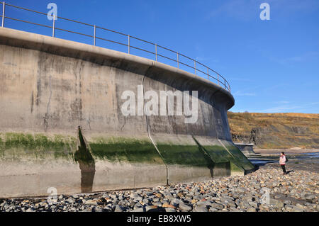 Lyme Regis per la difesa del mare Dorset Regno Unito Foto Stock