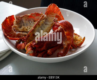 West Coast rock'aragosta (Jasus lalandii) gusci in una piastra a Paternoster Hotel sulla costa occidentale del Sud Africa. Foto Stock