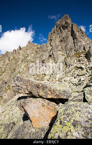 Il Lichen coperte da massi granitici sul Fenetre D' Arpette nelle Alpi Svizzere. Foto Stock