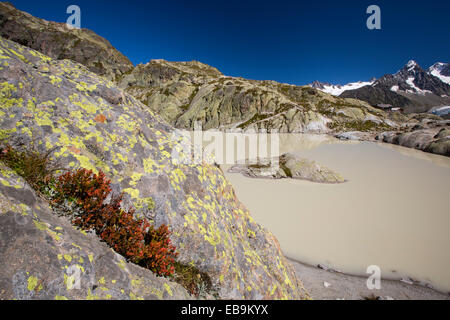 Lac Blanc sulla Aiguille rouge al di sopra di Chamonix, Francia. Foto Stock