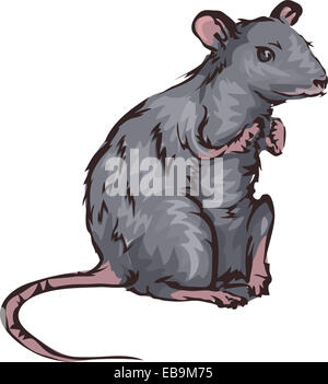Illustrazione con un ratto Foto Stock