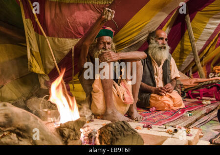 Shiva sadhu, uomo santo, Juna Akhara, praticando Urdha tapa, sollevando un braccio per molti anni per motivi spirituali, nella sua tenda Foto Stock