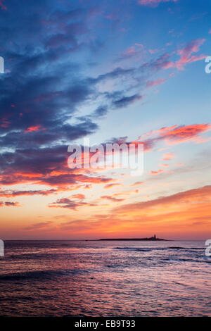 Alba cielo sopra Coquet Island camminare sul mare Northumberland Inghilterra Foto Stock