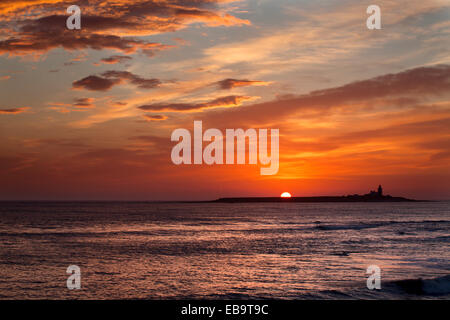 Sunrise over Coquet Island camminare sul mare Northumberland Inghilterra Foto Stock