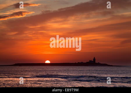 Sunrise over Coquet Island camminare sul mare Northumberland Inghilterra Foto Stock