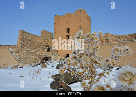 Ani è una rovina e disabitata armena medievale città situata nella provincia turca di Kars, accanto al confine con l'Armenia. Foto Stock