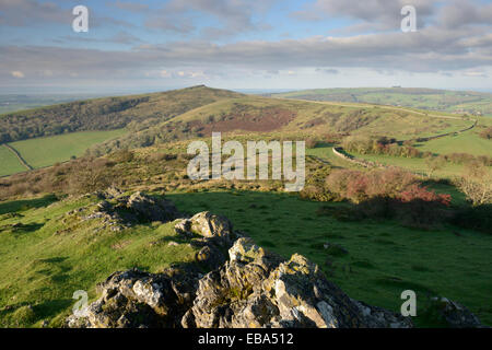 Il distintivo sommità del picco Crook visto dal basso barcollante sulle Mendip Hills, Somerset. Foto Stock