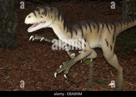 Predatori di dinosauri Deinonychus (Cretaceo era) oltre 30 specie di statue realistiche a Dinopark Zoo di Amersfoort, Paesi Bassi. Foto Stock