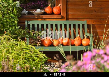 Hokkaido schiaccia (Cucurbita maxima "hokkaido') su un banco di lavoro. design: marianne e detlef lüdke Foto Stock