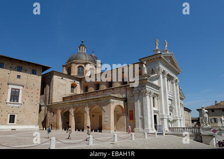 Il Duomo, la cattedrale, Urbino, Marche, Italia Foto Stock