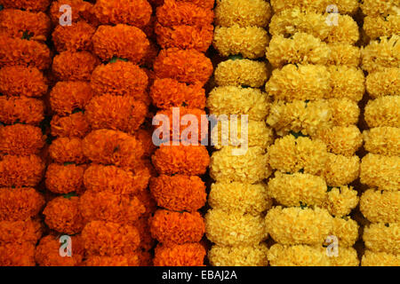 Fiori colorati a Dhaka Foto Stock
