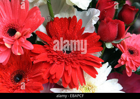 Fiori colorati a Dhaka Foto Stock