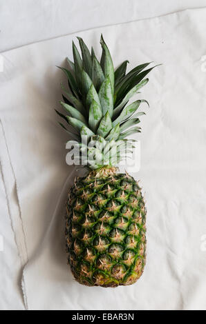 Unico ananas sopra un panno bianco, sopra visualizza Foto Stock