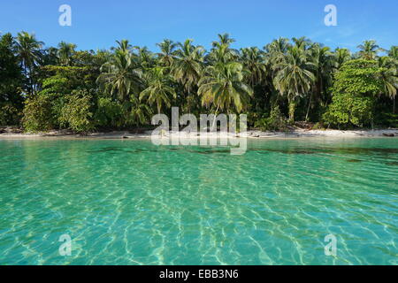 Tranquilla spiaggia dei Caraibi con vegetazione tropicale e acqua chiara vista dal mare, Zapatilla isole di Bocas del Toro, Panama Foto Stock