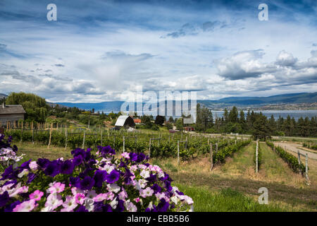 Summerhill Pyramid Winery, Kelowna, Lago Okanagan, British Columbia, Canada, America del Nord. Foto Stock