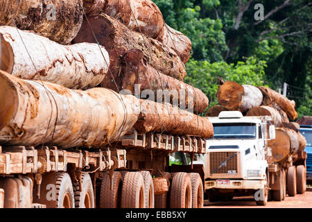 In Brasile la foresta pluviale amazzonica Logging camion che trasportano il legname Foto Stock