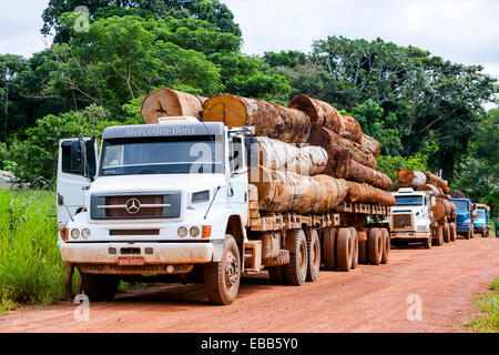 In Brasile la foresta pluviale amazzonica Logging camion che trasportano il legname Foto Stock