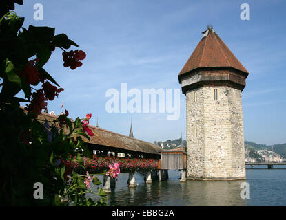 A piedi circa Luzern / Lucerna Foto Stock