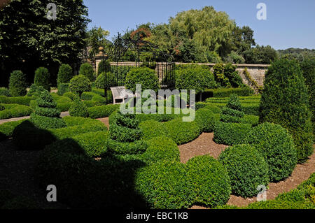 Topiaria da confine a Bourton House garden Foto Stock