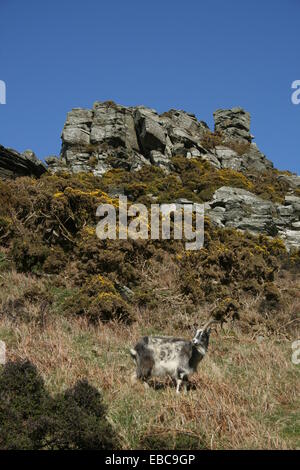 Valle di rocce in North Devon Foto Stock