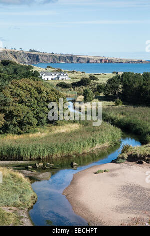 Vista su Lunan Bay sulla costa di Angus in Scozia. Foto Stock