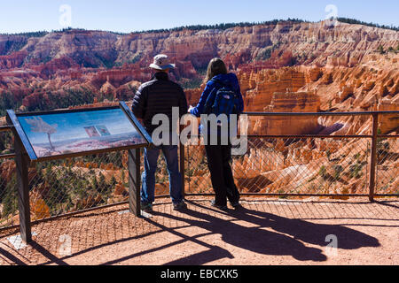 Turista giovane godendo la vista su Bryce anfiteatro dal punto di Sunrise. Parco Nazionale di Bryce Canyon, Utah, Stati Uniti d'America. Foto Stock