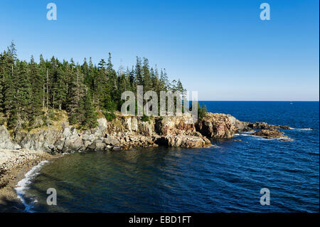 Coste rocciose, Parco Nazionale di Acadia, isola di Mount Desert, Maine, Stati Uniti d'America Foto Stock